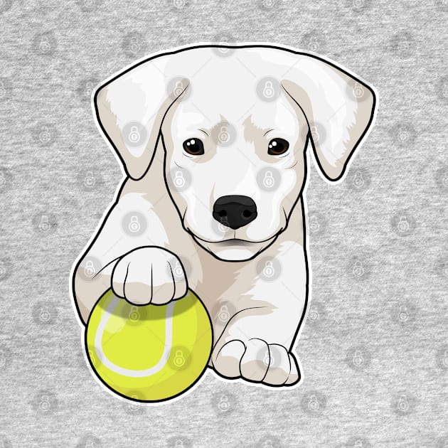 Dog puppy Tennis Tennis ball by Markus Schnabel